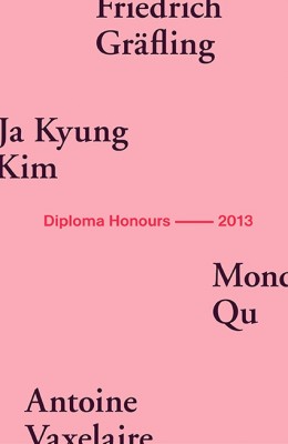 AA Diploma Honours 2013