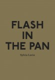 Architecture Words 13 : Flash in the Pan