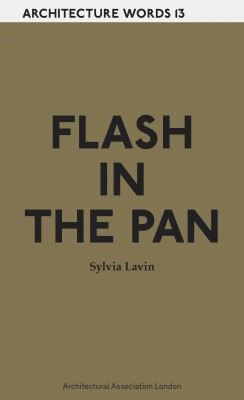 Architecture Words 13 : Flash in the Pan