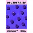 Blueberries: essays concerning understanding (October Book Group)