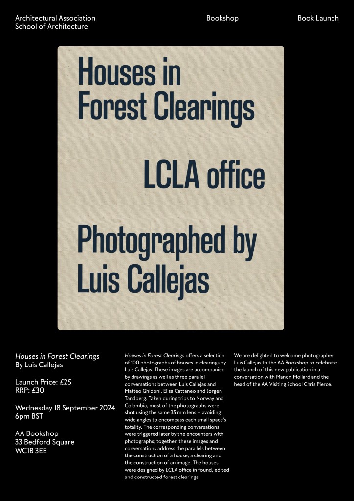 240903 Forest Clearing Poster Print